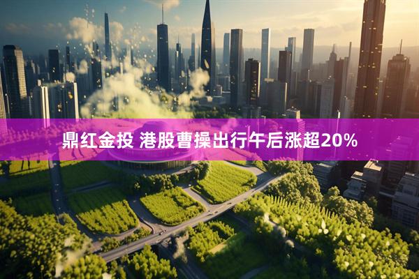 鼎红金投 港股曹操出行午后涨超20%