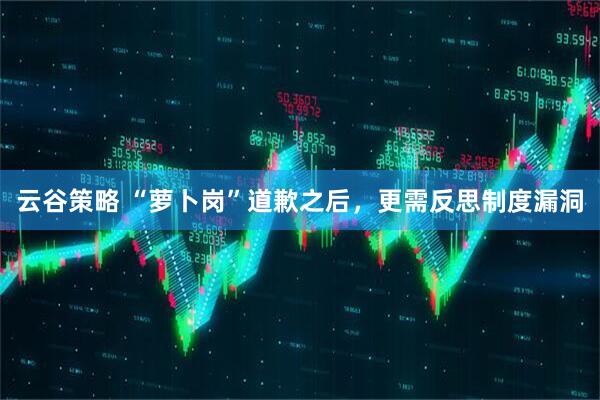 云谷策略 “萝卜岗”道歉之后，更需反思制度漏洞