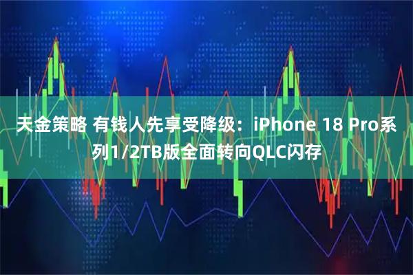 天金策略 有钱人先享受降级：iPhone 18 Pro系列1/2TB版全面转向QLC闪存